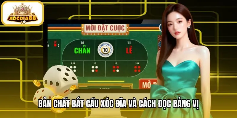 ban-chat-bat-cau-xoc-dia-va-cach-doc-bang-vi Phương pháp bắt cầu xóc đĩa qua bảng vị chuẩn xác